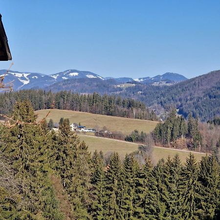 Natur- & Erlebnis Ferienhaus Voitsberg Luaran gambar