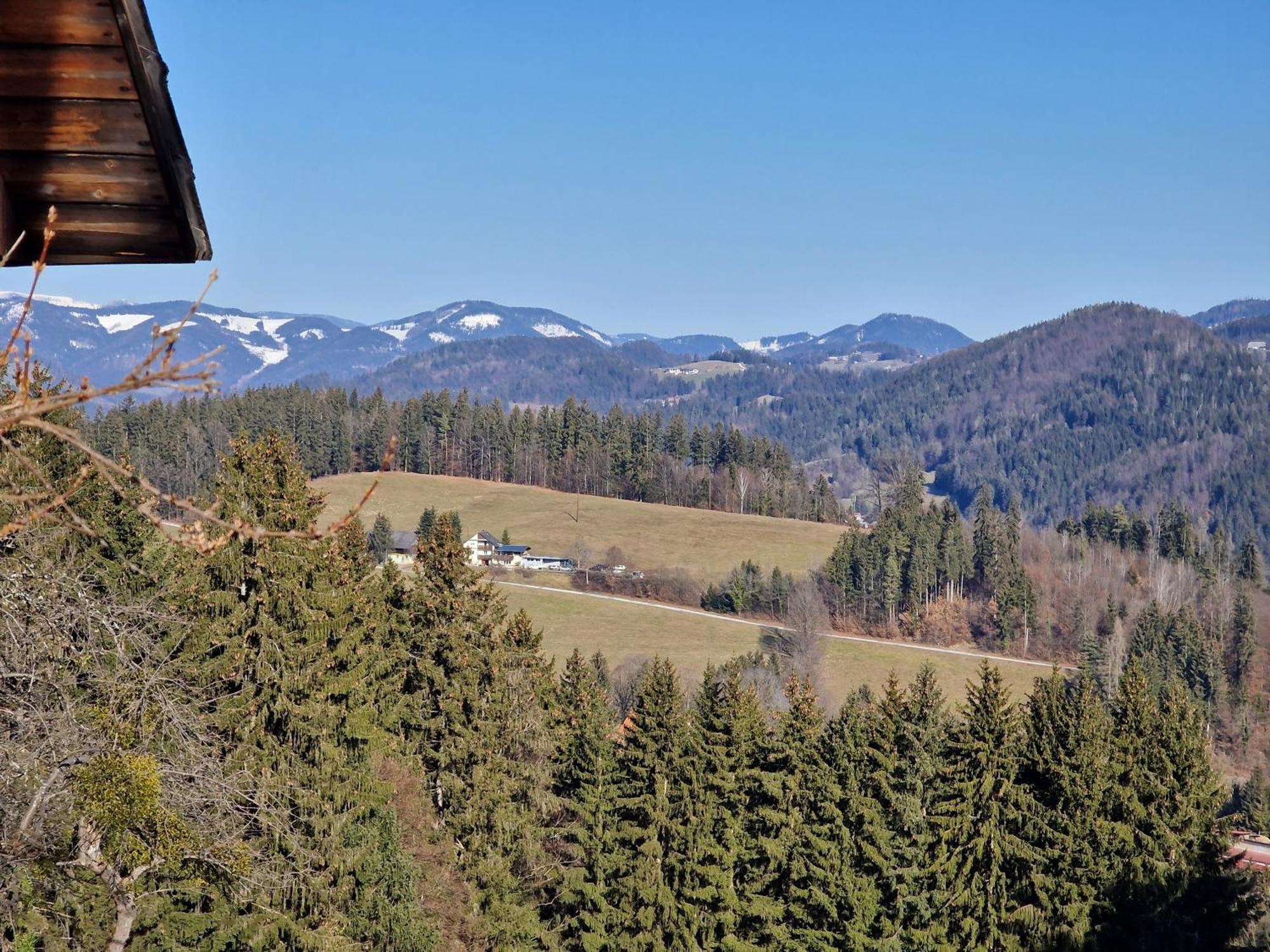 Natur- & Erlebnis Ferienhaus Voitsberg Luaran gambar