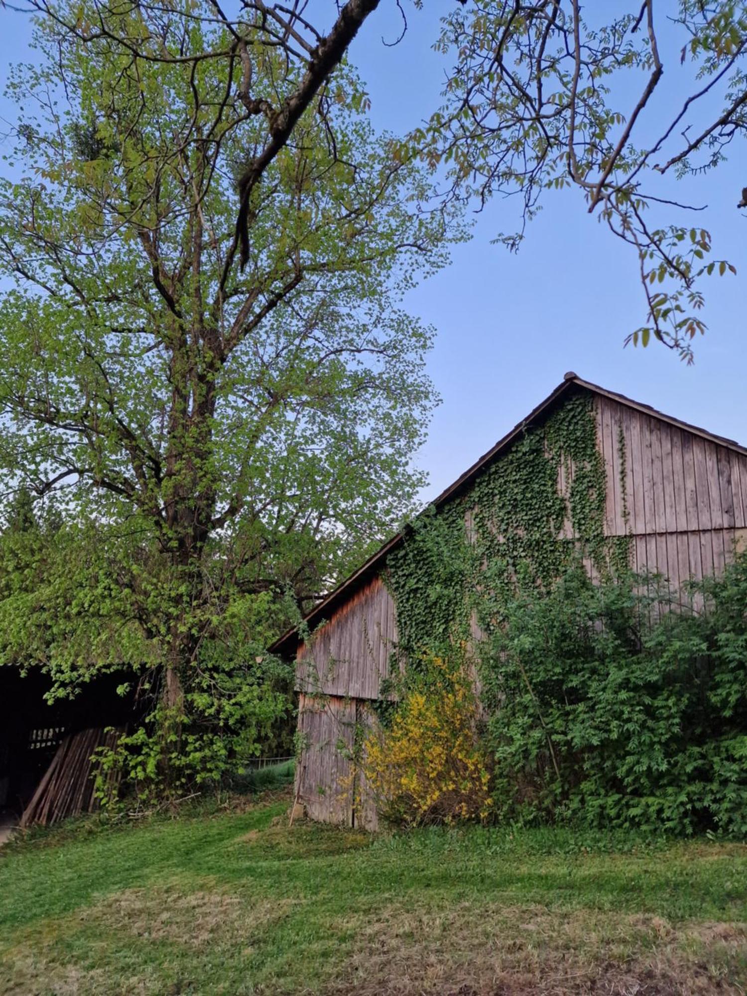Natur- & Erlebnis Ferienhaus Voitsberg Luaran gambar